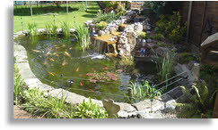 Keith Pyne Property Maintenance ornimental pond