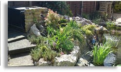 Keith Pyne Property Maintenance rockery